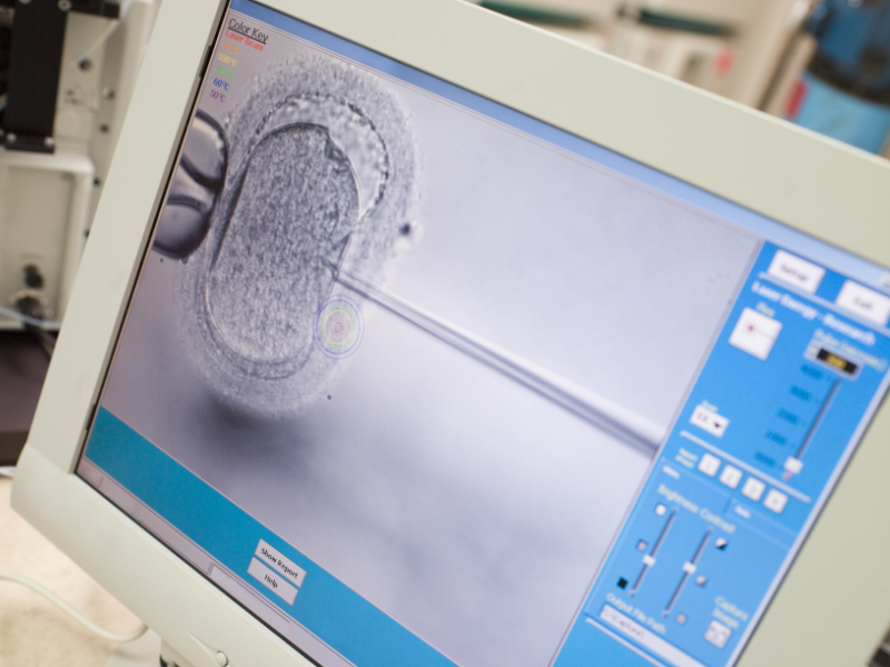 ICSI Procedure